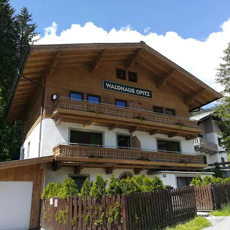 Waldhaus Opitz アパート